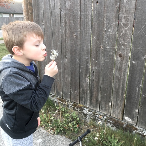 Meet your Posher, Kristina - Picture 10 of 13